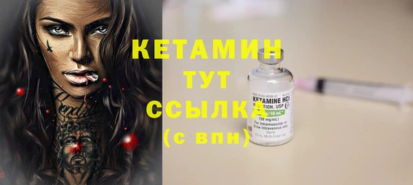 прущие крисы Бородино