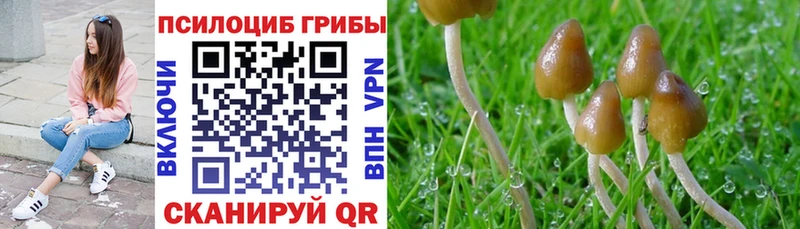 Галлюциногенные грибы ЛСД  Новоржев 